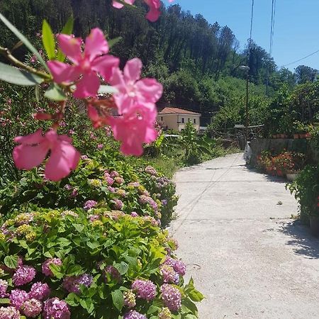 Вилла Casa Nonna Anna Майори Экстерьер фото