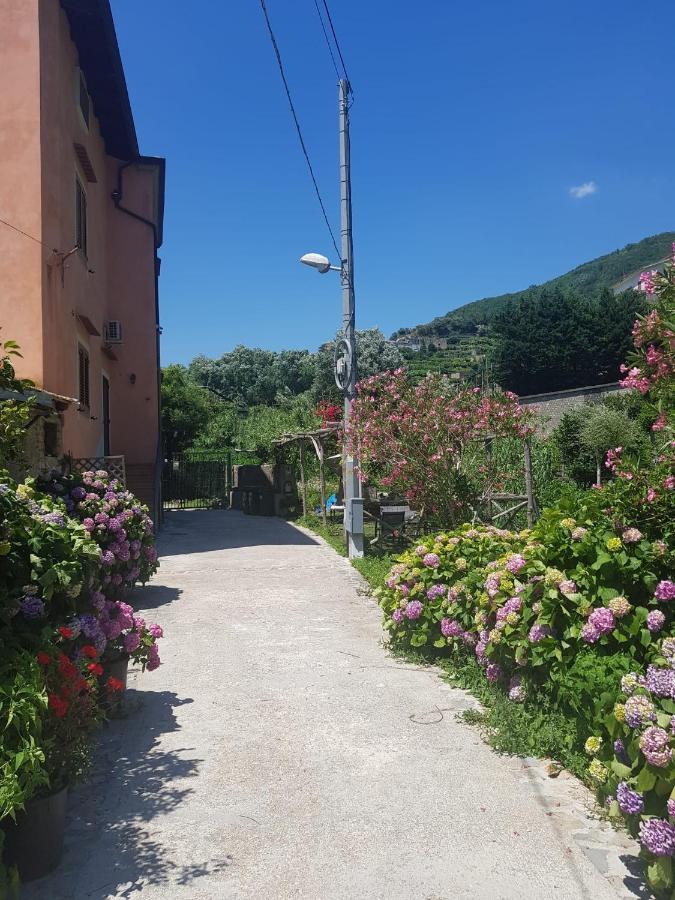 Вилла Casa Nonna Anna Майори Экстерьер фото